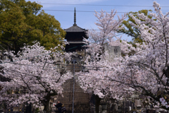 230330e金戒光明寺32