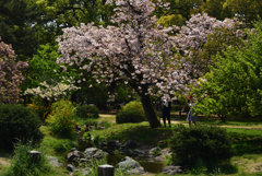 190422b京都御苑37