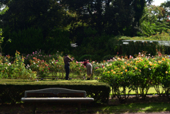 211022京都植物園20