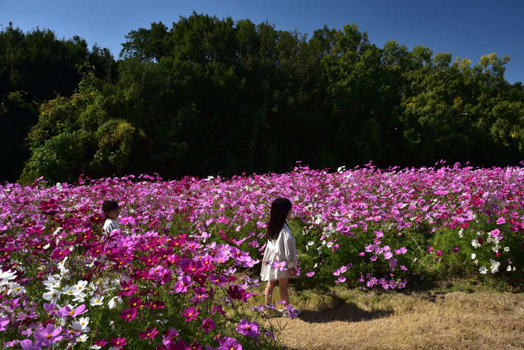 201025万博公園27