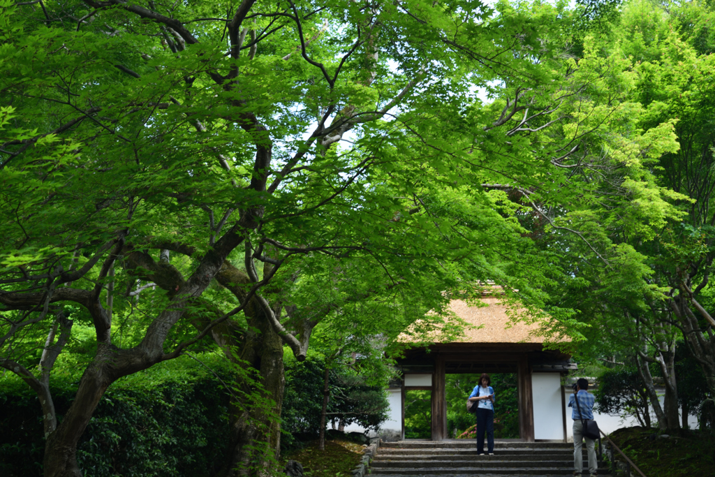 190601c安楽寺01