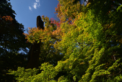 221029f南禅寺19
