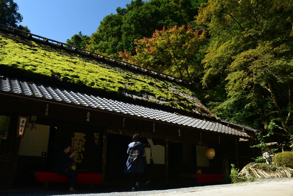 171027b愛宕念仏寺23