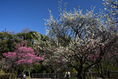 200221荒山公園36 200221荒山公園36
