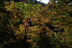 211106a高雄17