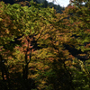 211106a高雄17