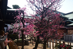 250308a大阪天満宮23