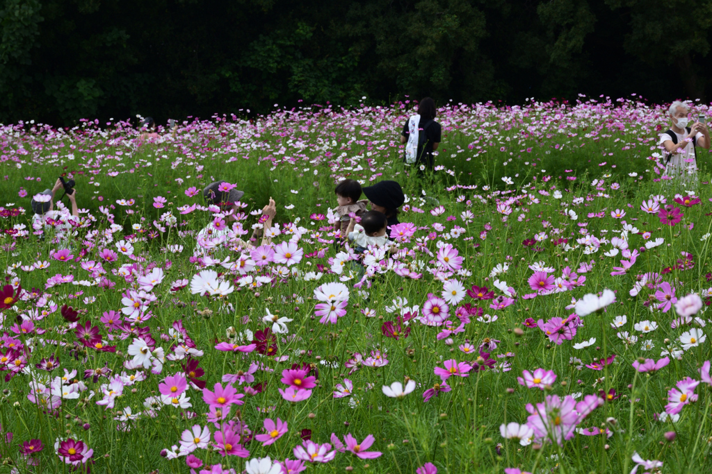 221001万博公園29