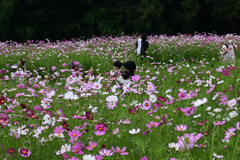 221001万博公園29