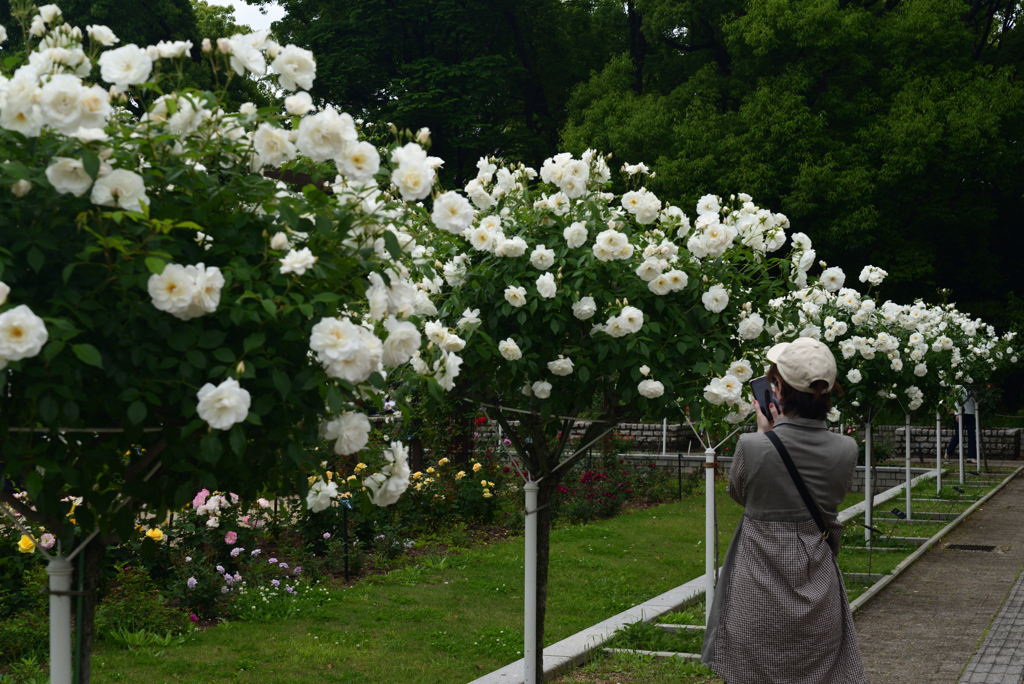 220510長居植物園44