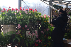 250210d京都植物園28