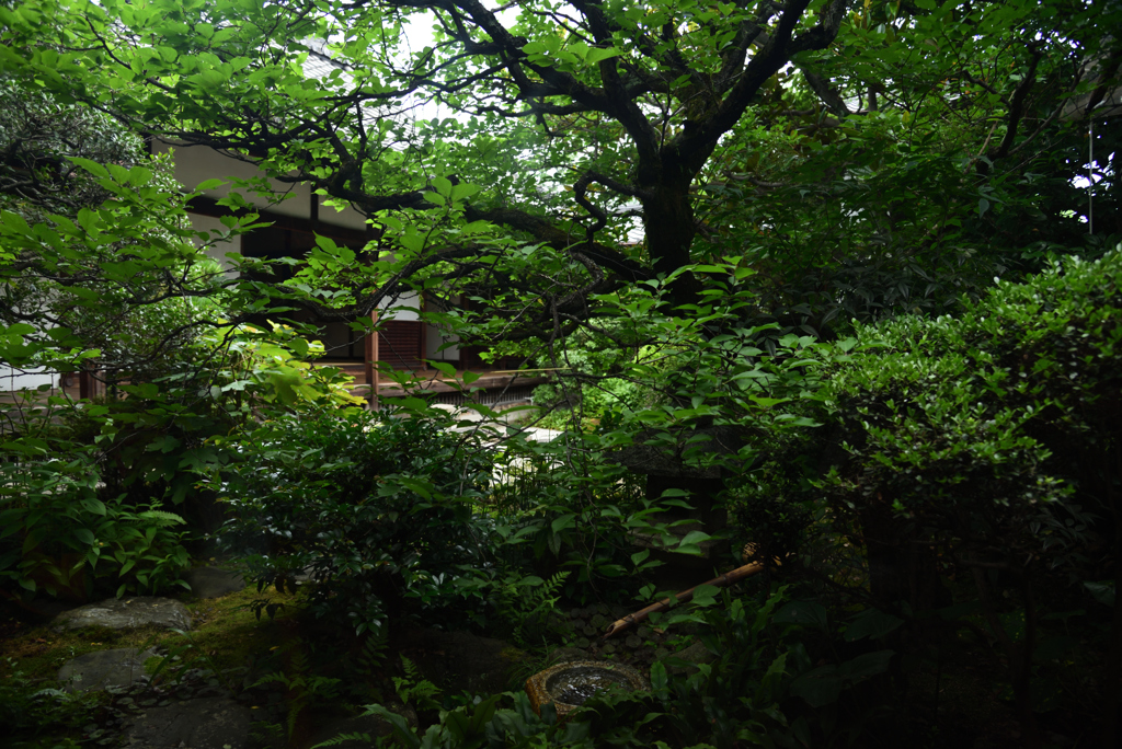 190707a建仁寺58禅居庵