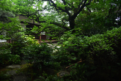 190707a建仁寺58禅居庵