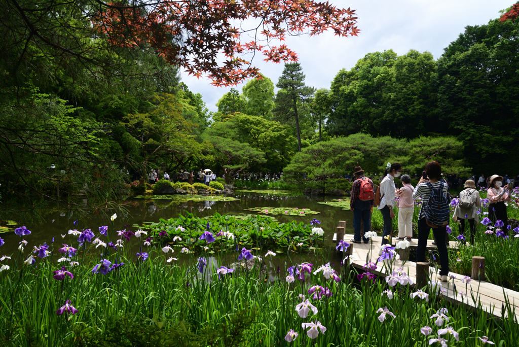 220607平安神宮39