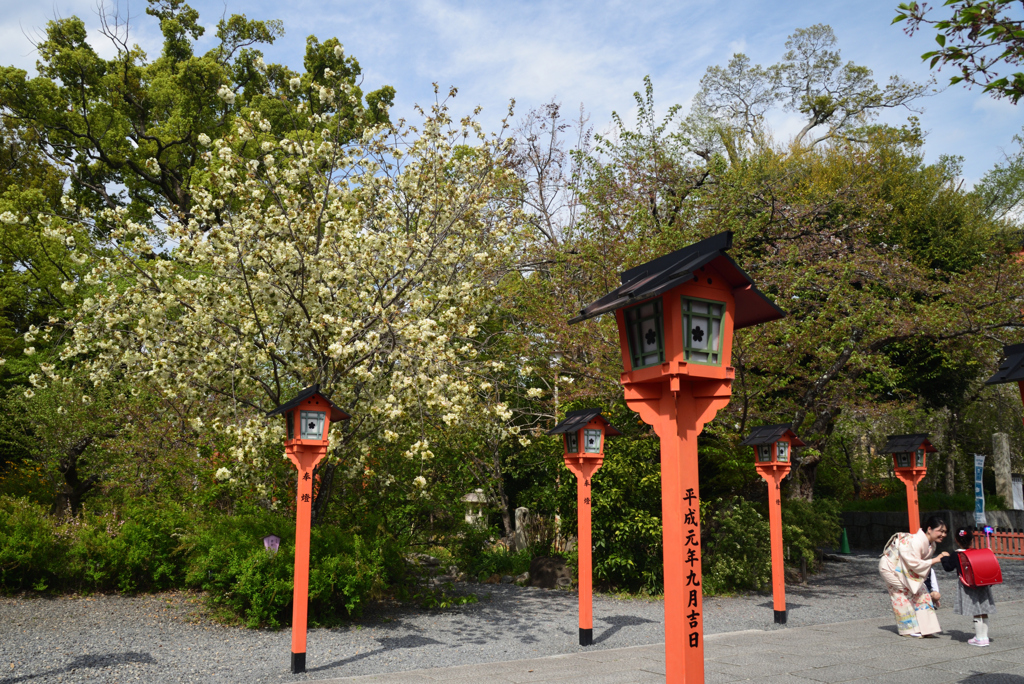 210408b平野神社06