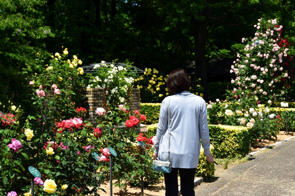 180511a鶴見緑地47+