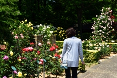 180511a鶴見緑地47+