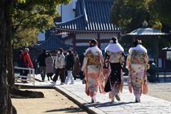 220108e四天王寺41