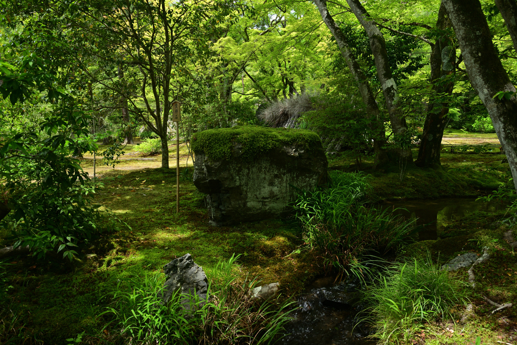 230527b宝厳院49