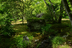 230527b宝厳院49