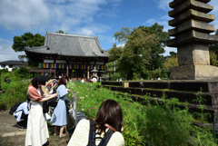 201011a般若寺38