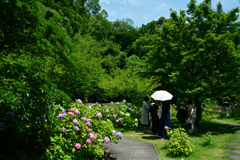 250629智積院16