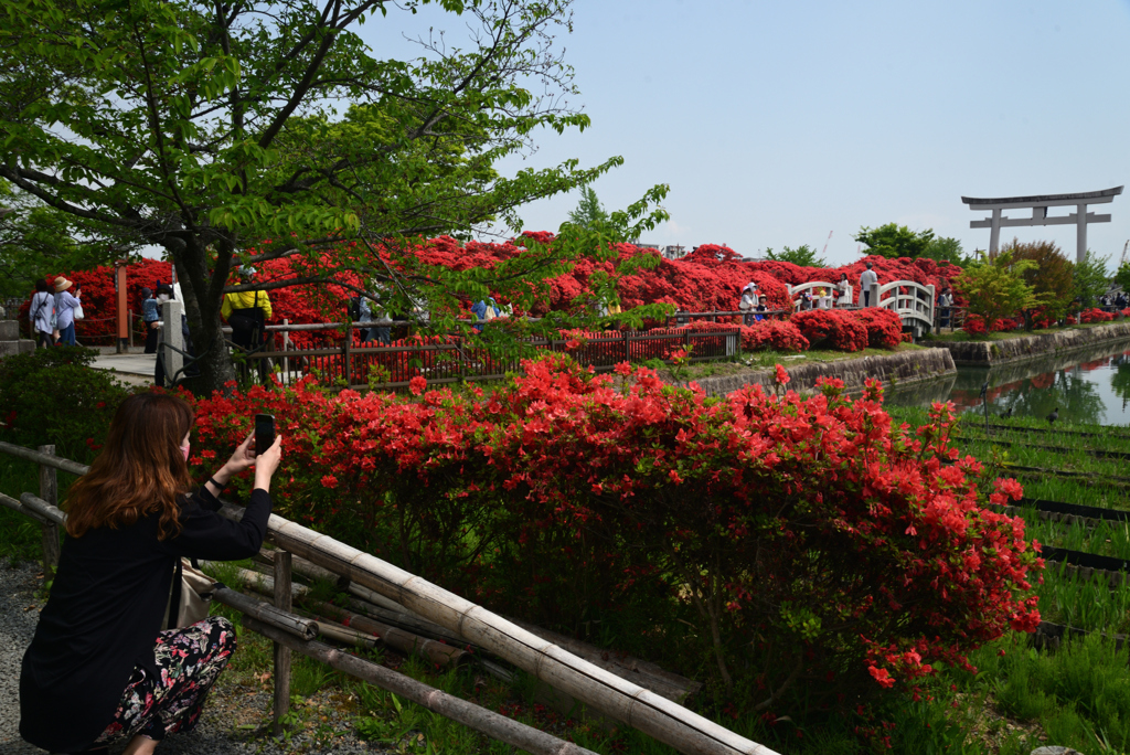 220423長岡天満宮34