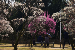 190218荒山公園23