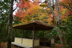 191126b高山寺23