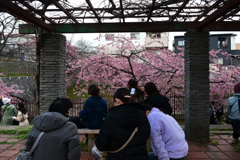 250320b淀水路15