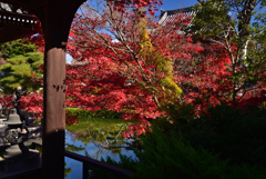 211129a法華寺15