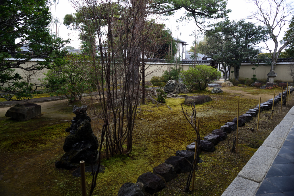 190214a妙心寺天球院02