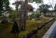 190214a妙心寺天球院02