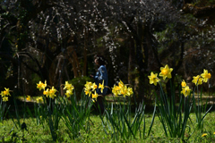230320a京都植物園58