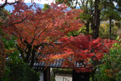 191129f安養寺20