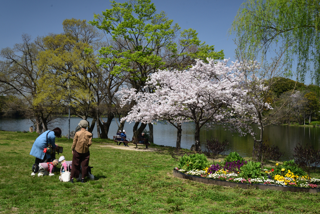 210331a山田池公園25