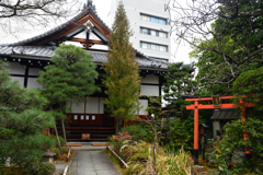 260109c裏寺町通24