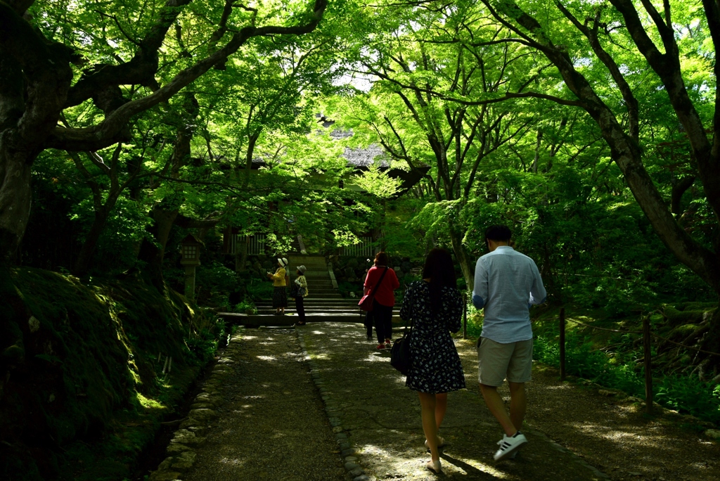 180520d常寂光寺01+