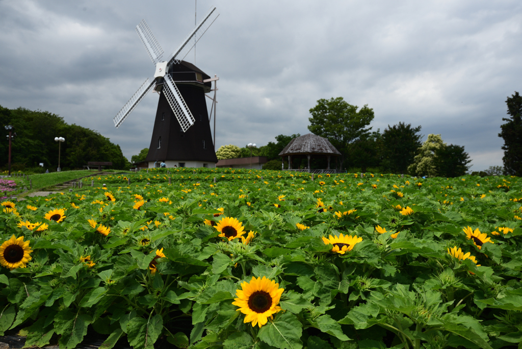 200702鶴見緑地09