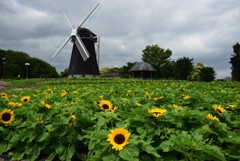 200702鶴見緑地09