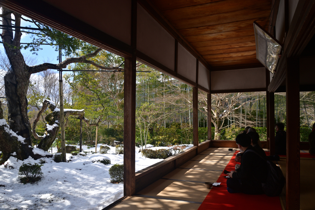 250210c大原宝泉院37