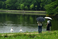 180712長居植物園31