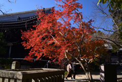 211203a光明寺09