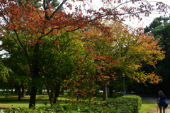 2501104京都御苑06