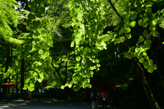 230528c貴船40
