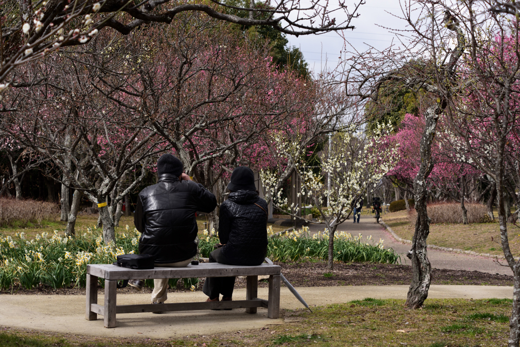 190212山田池公園50