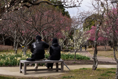 190212山田池公園50