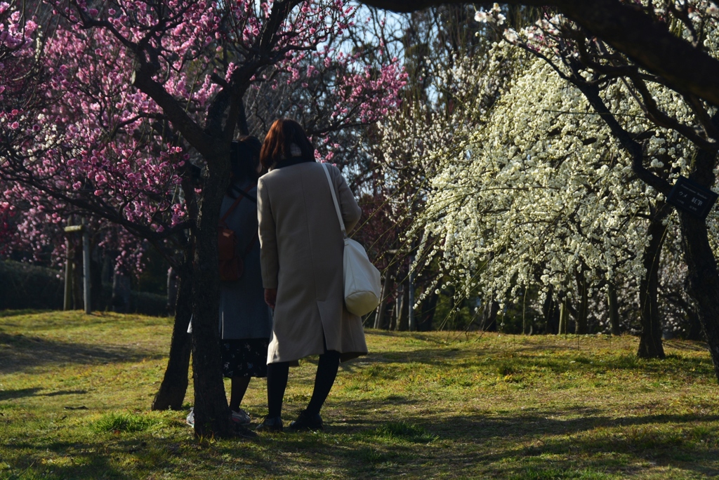180302長居植物園28