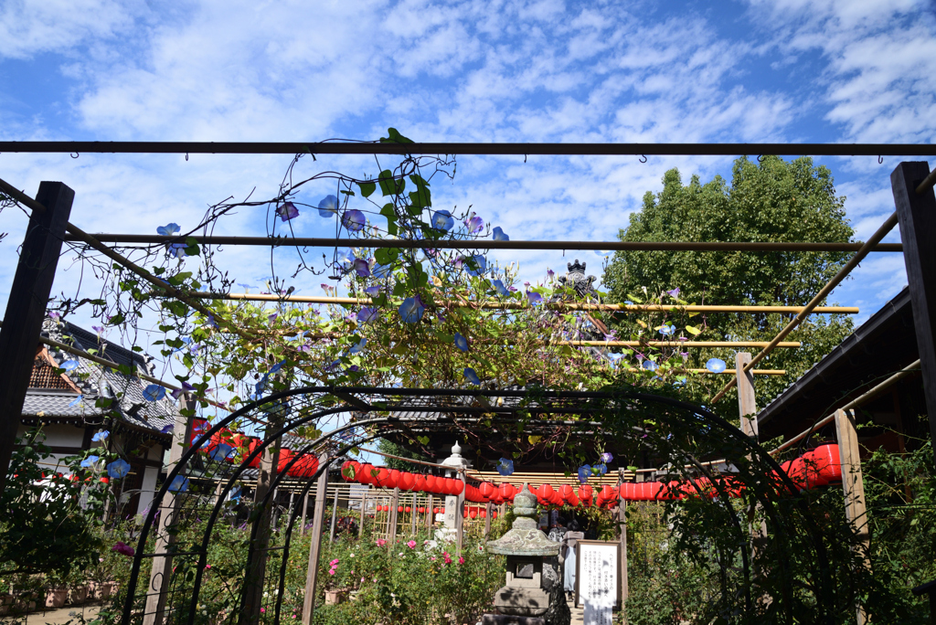 221021bおふさ観音01