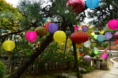 2501021bおふさ観音26